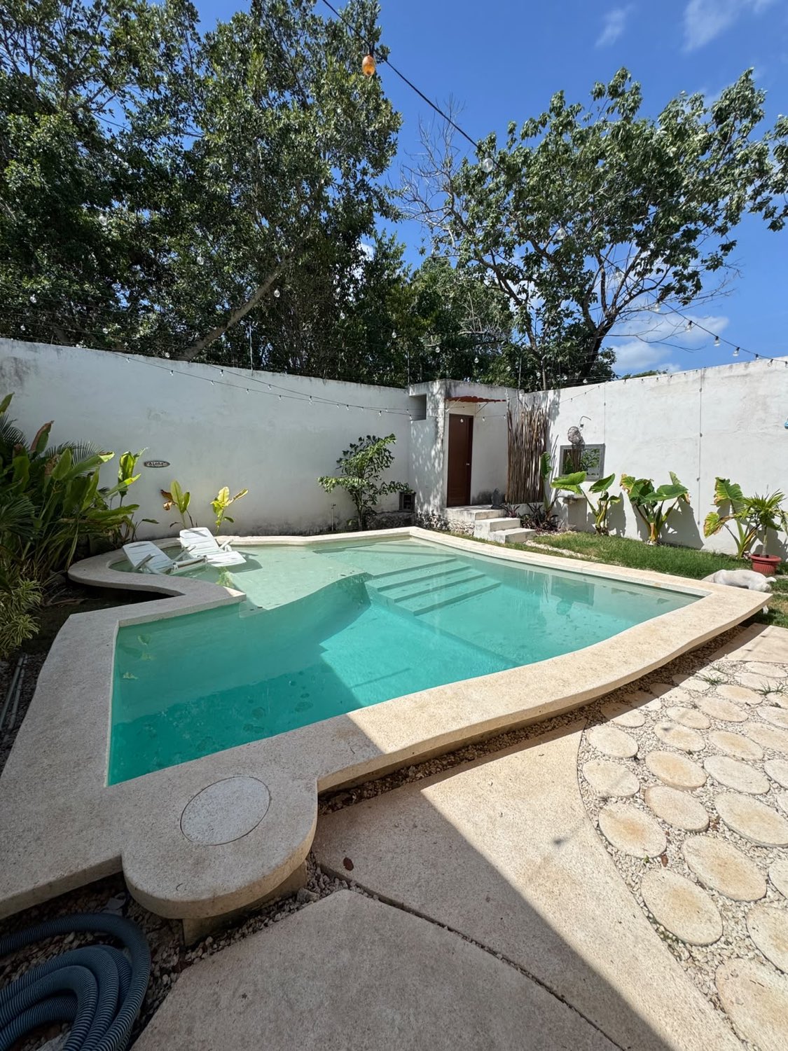 Proyecto en Salón El Pedregal — Grupo Jassa